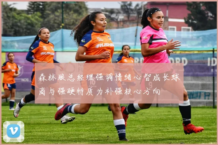 森林狼总经理强调情绪心智成长球商与强硬特质为补强核心方向