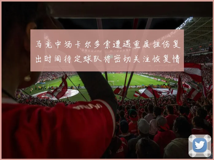 马竞中场卡尔多索遭遇重度扭伤复出时间待定球队将密切关注恢复情况